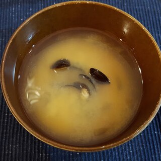 【お味噌汁の具】しじみ